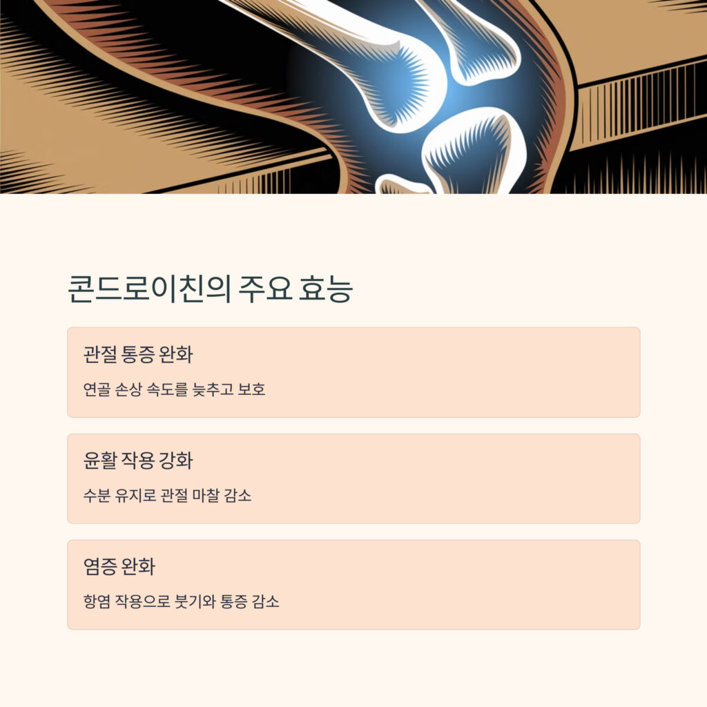 콘드로이친-효능