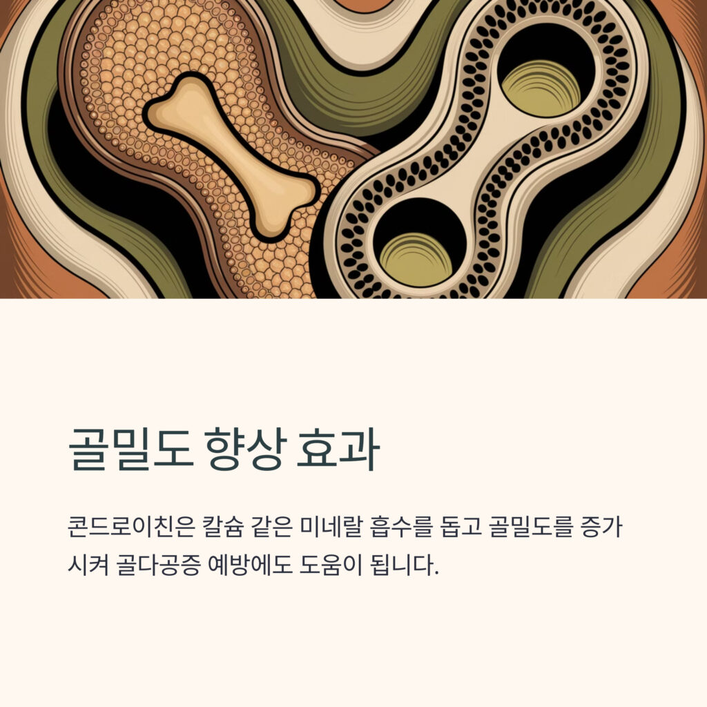 콘드로이친-골밀도-향상