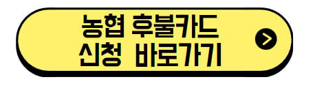 농협-하이패스-후불카드-신청-바로가기