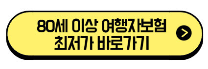 80세 이상 여행자보험 가격비교 및 가입 가이드 2025년 (+최저가 견적 바로가기) 3 80세-이상-여행자보험-최저가-바로가기