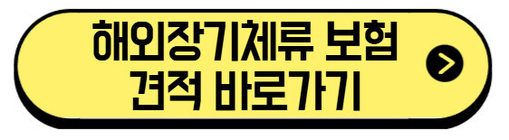 해외장기체류-보험-견적-바로가기