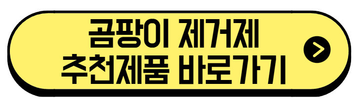 곰팡이-제겆-추천제품-바로가기