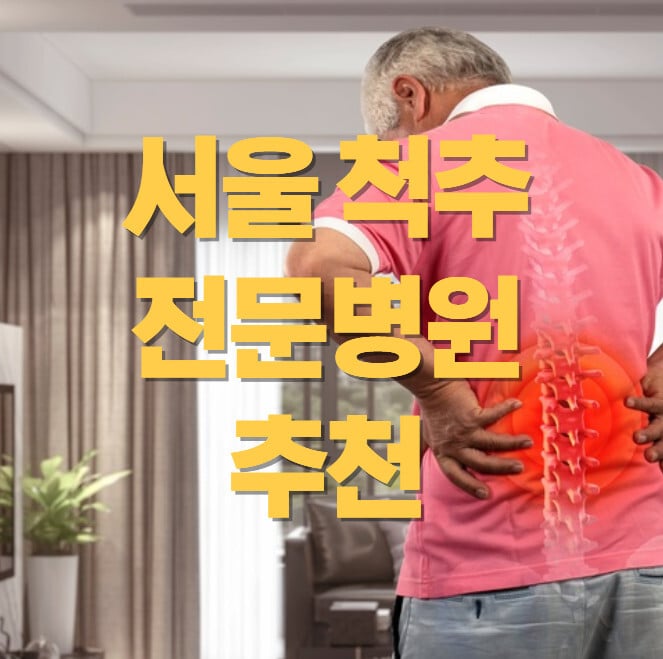 서울-척추-전문병원-추천