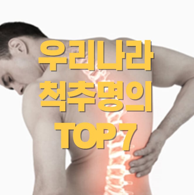 우리나라-척추-명의