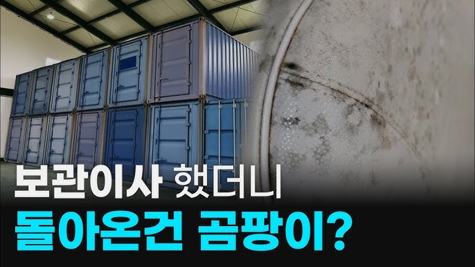 보관이사-곰팡이-썸네일