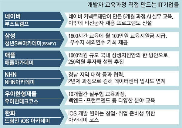 개발자-교육과정