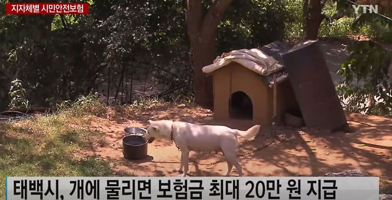 시민안전보험 썸네일이미지